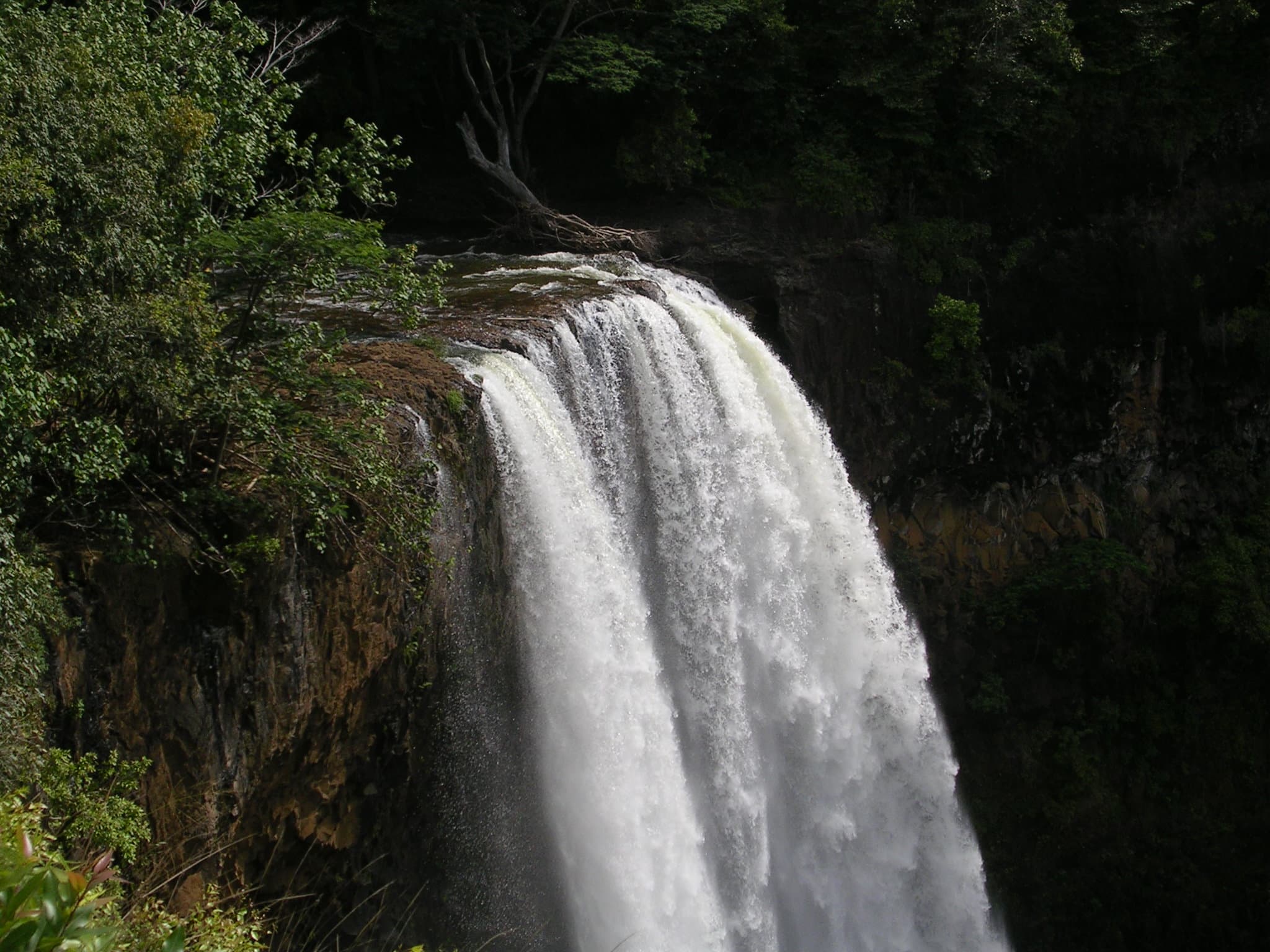 The Best Private Island Tours in Kauai for Families