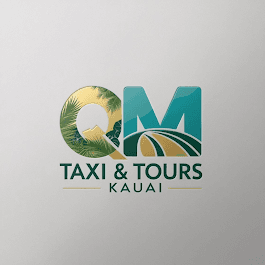 QM Taxi & Tours LLC