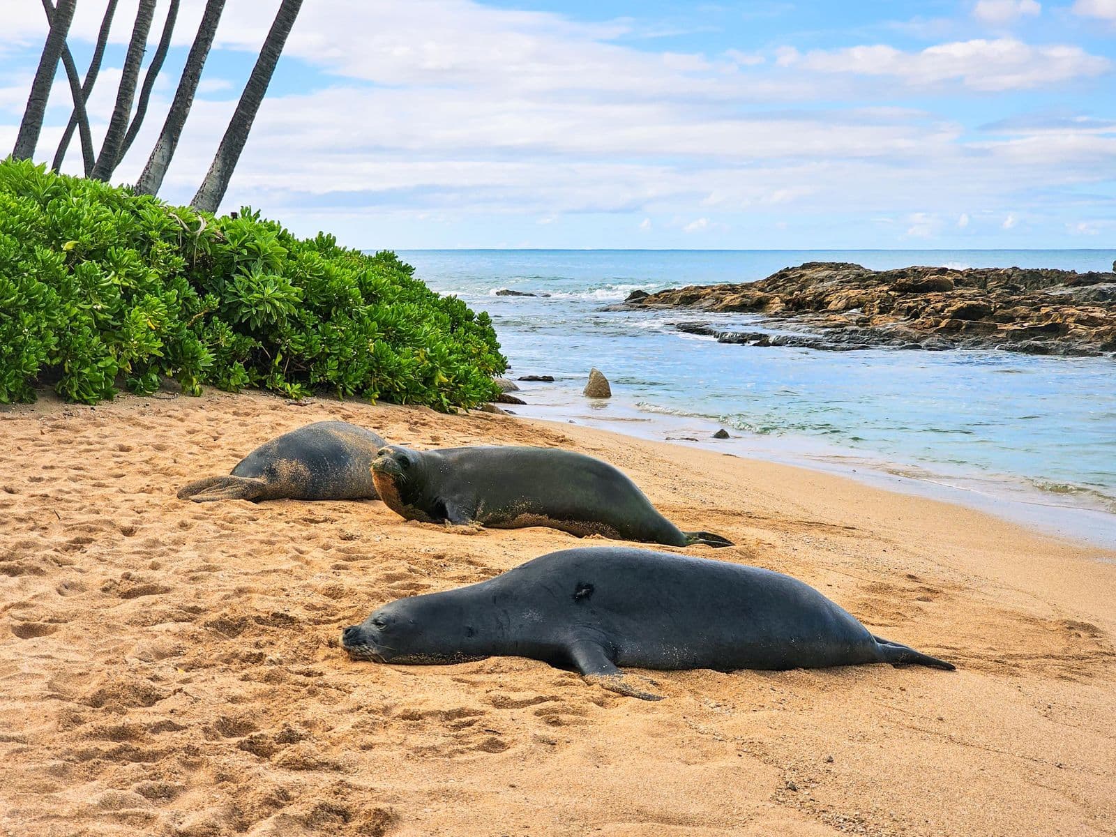 South & West Canyon Tour 1